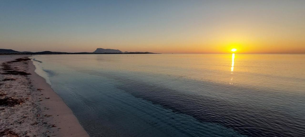 Appartamento Brigida Bilocale 2 Posti Vicino Al Centro San Teodoro  Kültér fotó